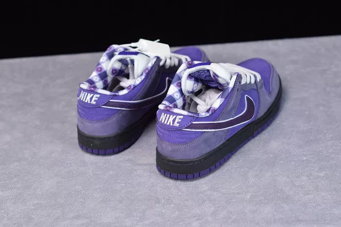 Cheap NIKE SB DUNK LOW CONCEPTS PURPLE LOBSTER BV1310-555 0119