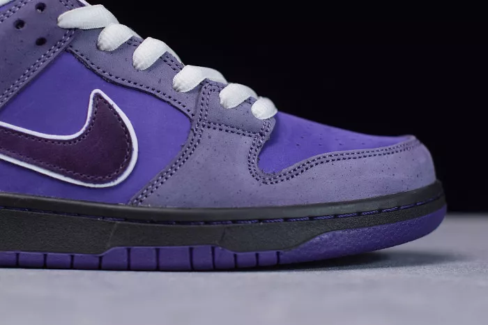 Cheap NIKE SB DUNK LOW CONCEPTS PURPLE LOBSTER BV1310-555 0119