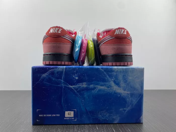 Rep Nike Dunk SB Low Red Lobster 313170-661 0119