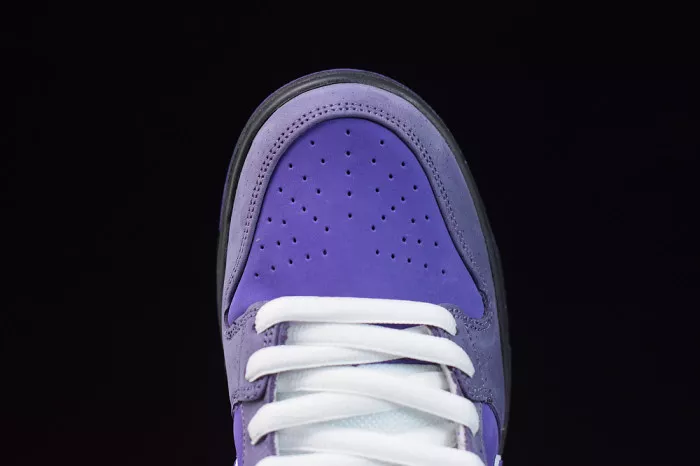 Cheap NIKE SB DUNK LOW CONCEPTS PURPLE LOBSTER BV1310-555 0119