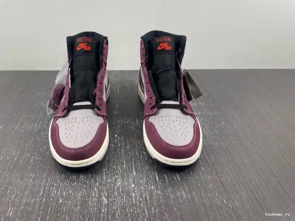 Rep Element Air Gore-Tex Jordan 1 DB2889-500 0210