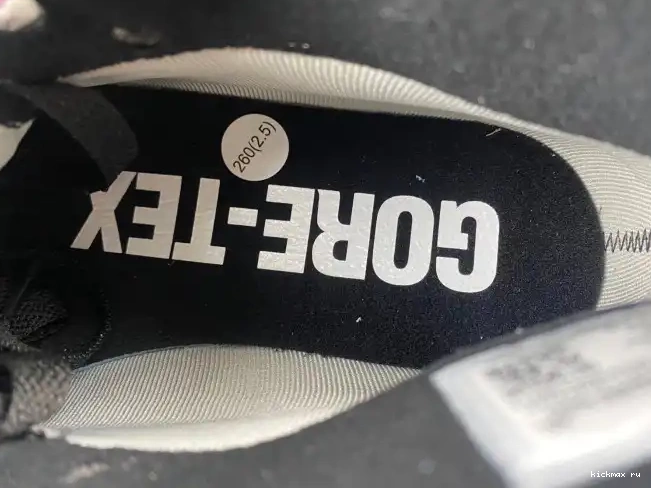 Rep Element Air Gore-Tex Jordan 1 DB2889-500 0210